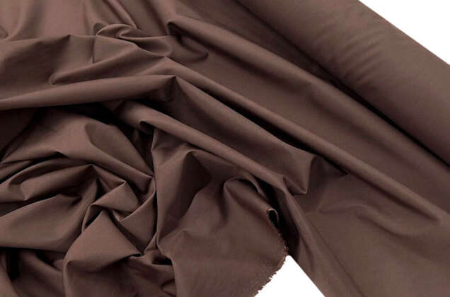 Тиси сорочечная, кофе