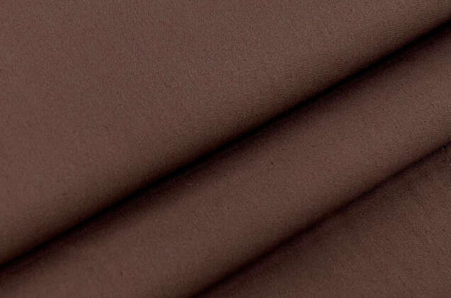 Тиси сорочечная, кофе 1