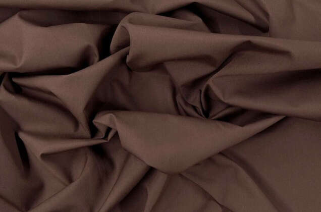 Тиси сорочечная, кофе 2