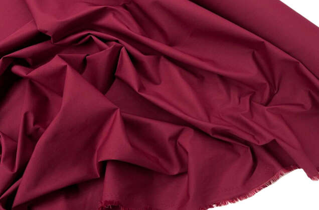 Тиси сорочечная, винная