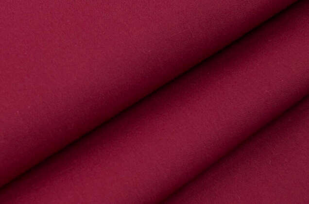 Тиси сорочечная, винная 2