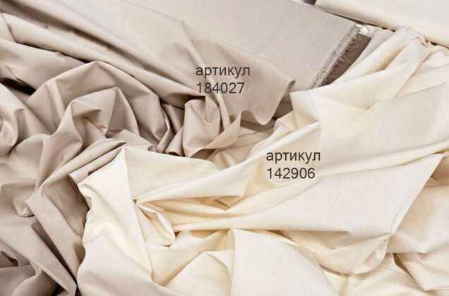 Рубашечный хлопок, сливочный (142906), Италия 1