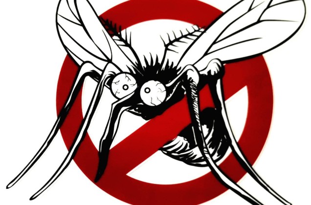 Термонаклейка Mosquito 16х20 см