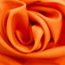 Фуа [Fuhua]  цвет: оранжевый