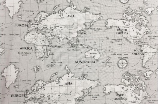 Дак (DUCK) Карта мира на сером фоне